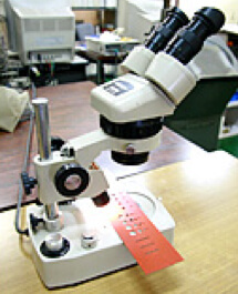 Microscope